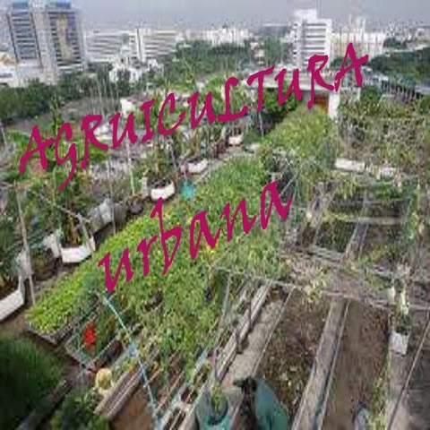 Agruicultura urbana
