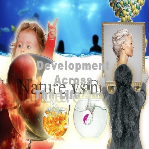 Aguiar AP Development 