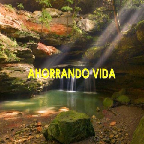 Ahorrandovida (2)