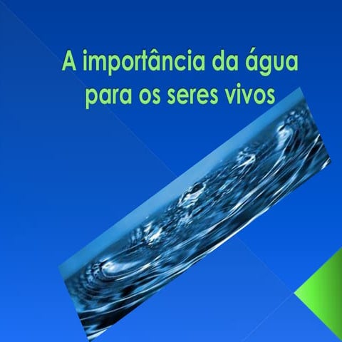 A importância da água para os seres vivos