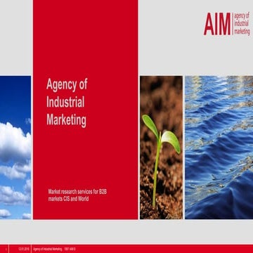 Agency of Industrial Marketing
