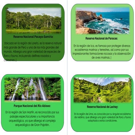 ALBUN CCSS PDF.pdF , SOBRE LAS AREAS NATURALES DEL PERU