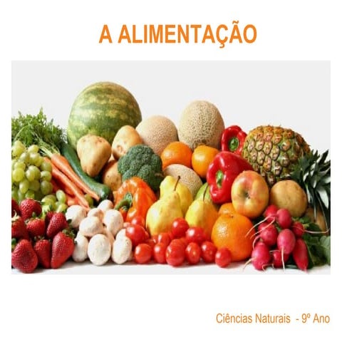 Alimentao 1