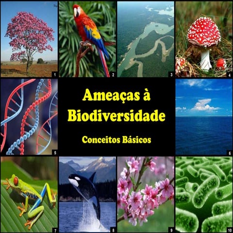 Ameaças à Biodiversidade