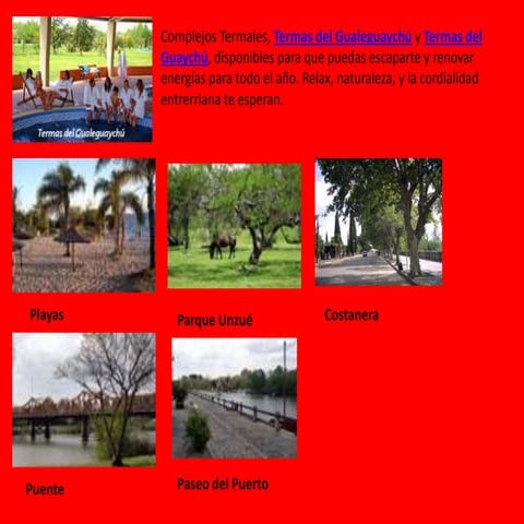 presentacion de la academia