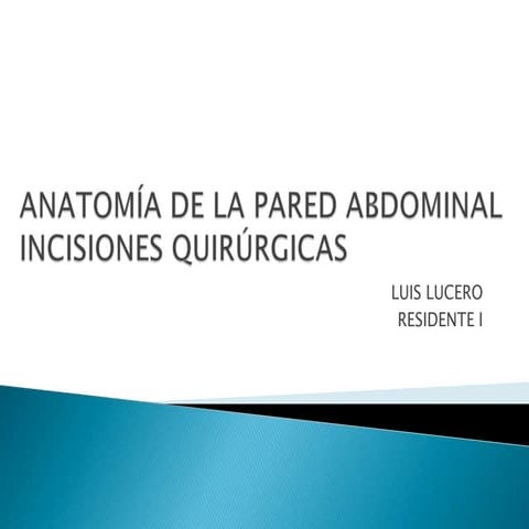 Anatomía de la pared abdominal