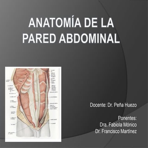 Anatomía de la pared abdominal