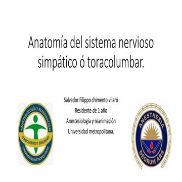 Anatomía del sistema nervioso autonomo simpático