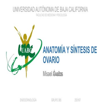 Anatomía y síntesis de ovario