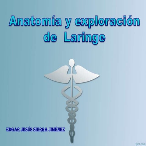 Anatomia de la laringe