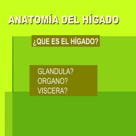 Anatomia del higado