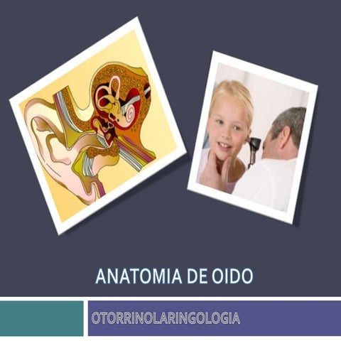 Anatomia de oido externo, medio e interno