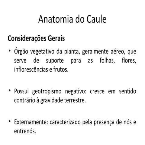 Anatomia do caule