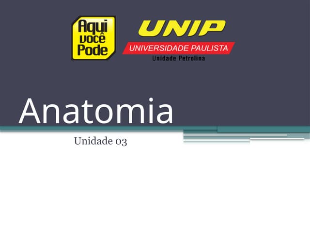 Anatomia Ed [Salvo Automaticamente].pptx