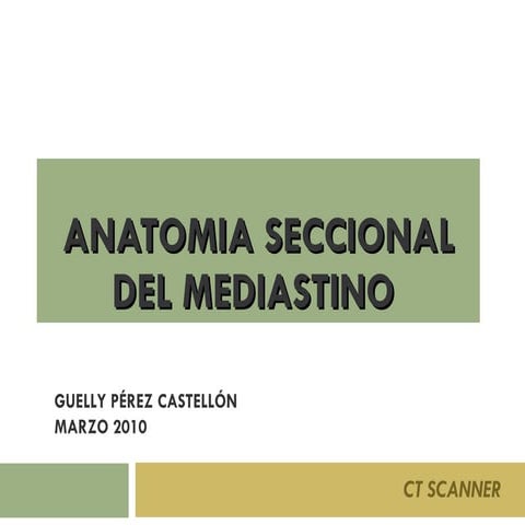 Anatomia Mediastino