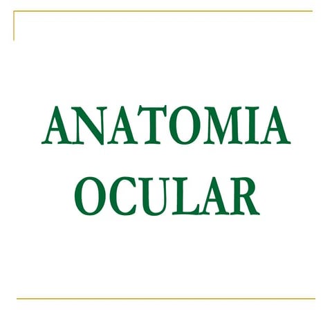 ANATOMIA OCULAR tema de anatomía humanaa