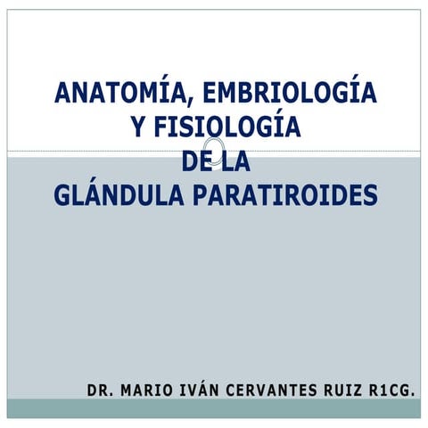 Anatomia y embriologia de paratiroides