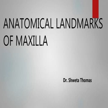 Anatomical landmarks of maxila