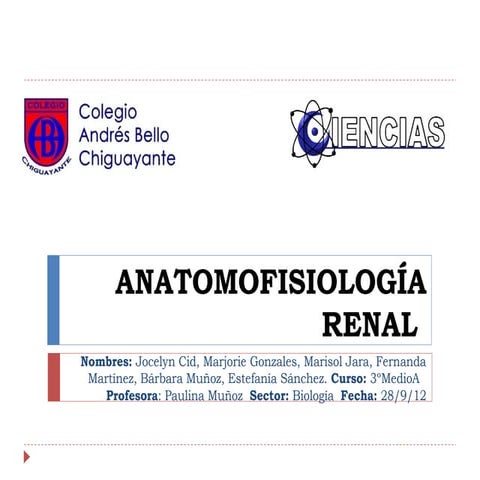 Anatomofisiología renal