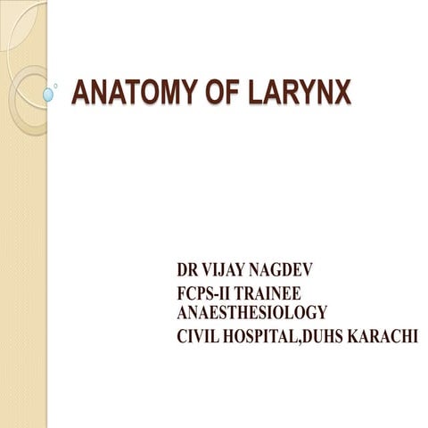 Anatomy of larynx
