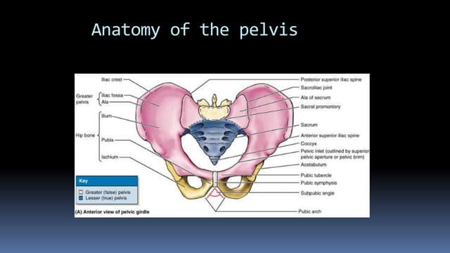 pelvis finjury