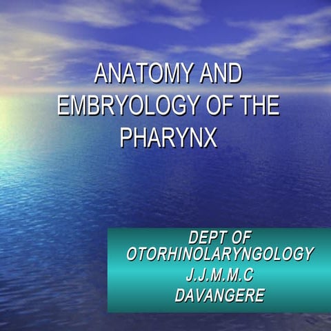Anatomy of pharynx