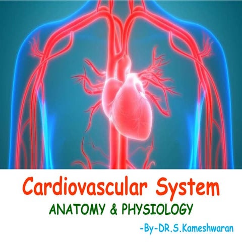 CARDIOVASCULAR SYSTEM - ANATOMY & PHYSIOLOGY