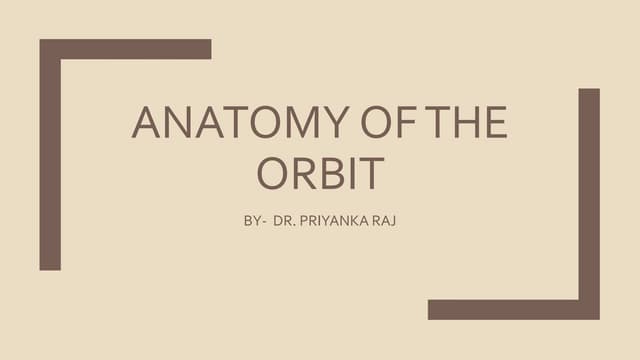 Anatomy of the orbit