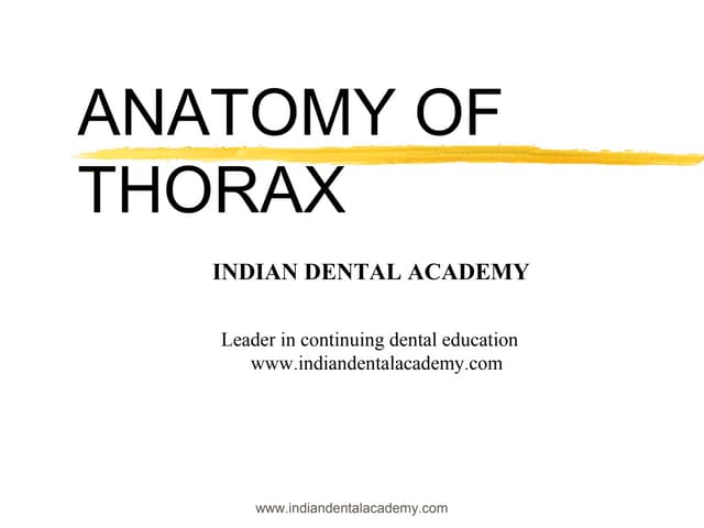 Anatomy of thorax /certified fixed orthodontic courses by Indian dental academy 
