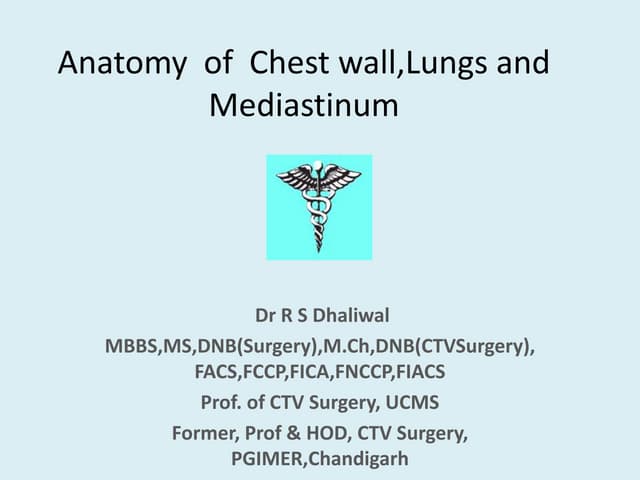 Anatomy of thorax (2)
