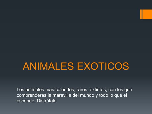 Animales exoticos