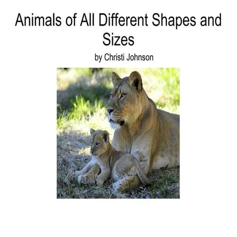 Animals of all different shapes and sizes