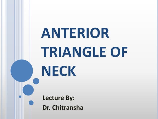 Anterior triangle of neck