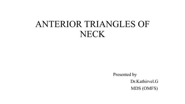 Anterior triangles of neck