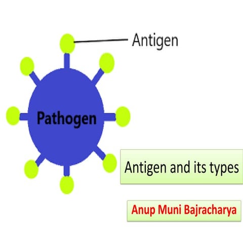Antigen