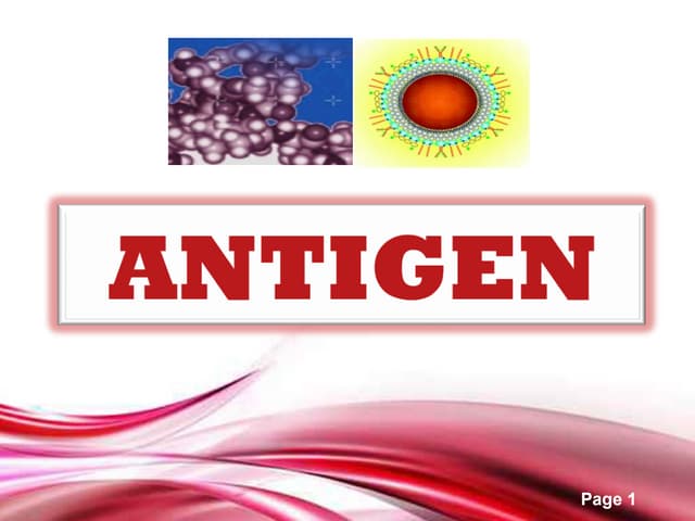 Antigen concept made easy
