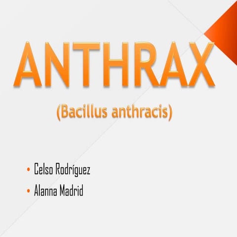 Antrax