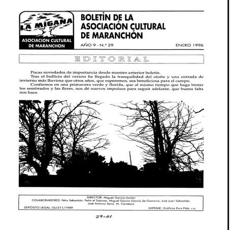 AñO 9 Nº 29 Enero 1996