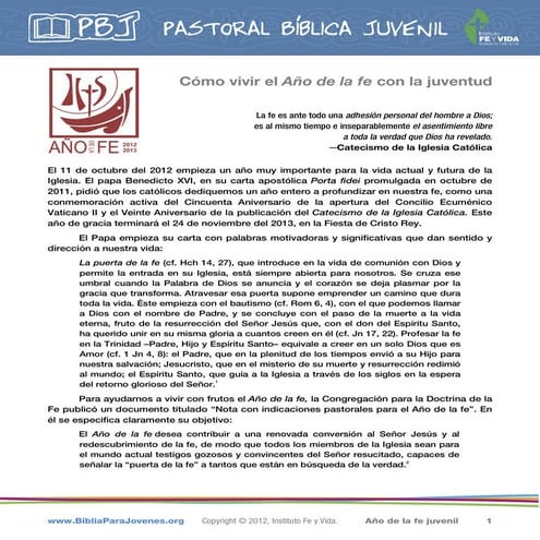 Año de la fe juvenil