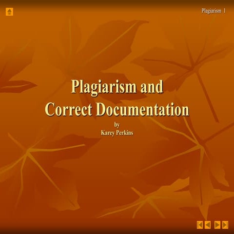 Plagiarism and Correct Documentation (Citing)