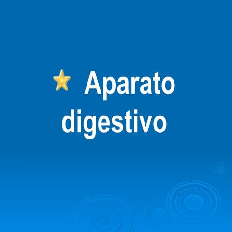 Aparato Digestivo Embrio 07