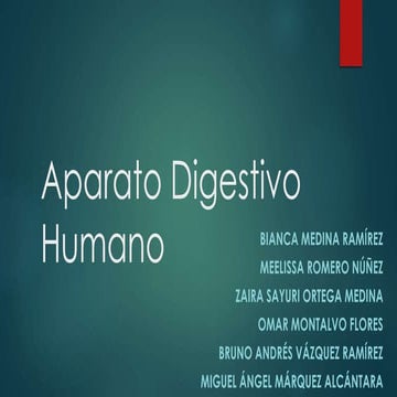 Aparato digestivo humano 