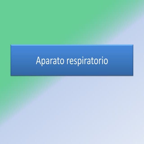 Aparato respiratorio
