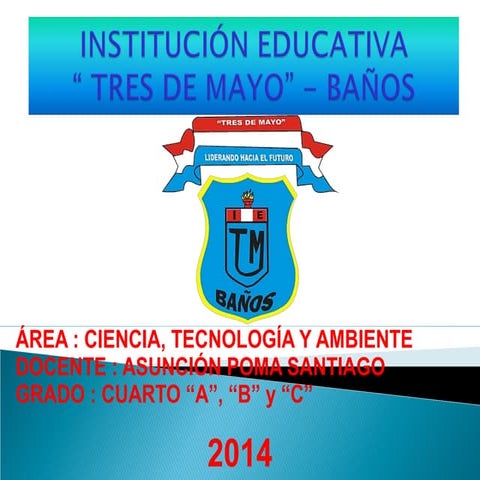 Aparato Respiratorio