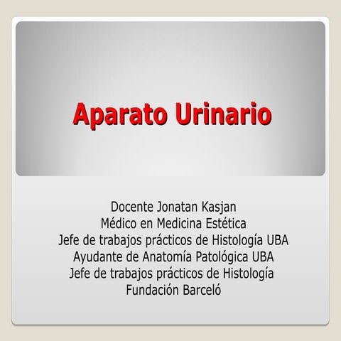 3RA ERA Aparato Urinario (EMBRIOLOGIA).ppt