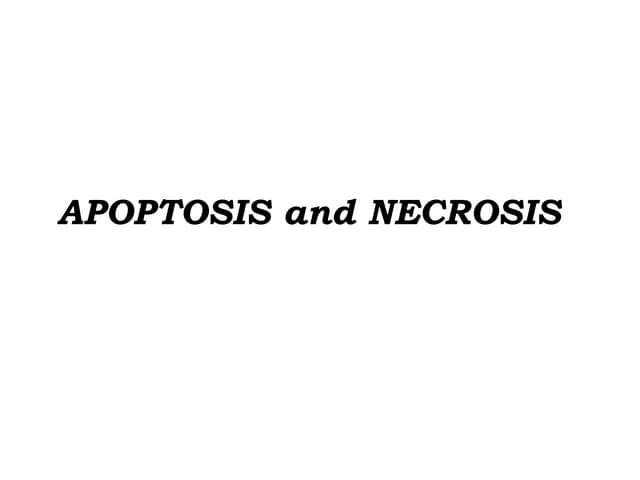 Apoptosis-1.pptx