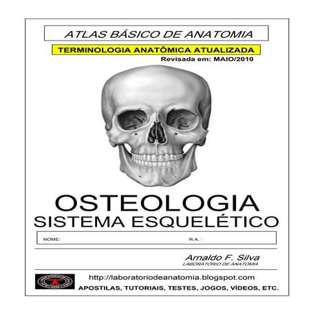 Apostila sistema esqueleticorevisada