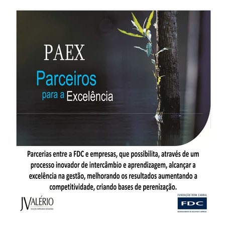 PAEX - Parceiros Para a Excelência - FDC