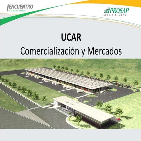 Areas de mercado