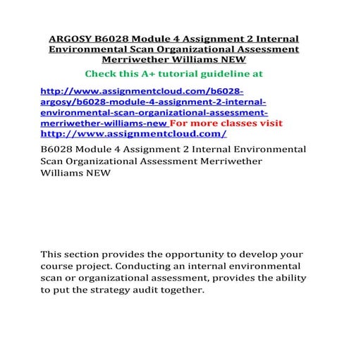 Argosy b6028-module-3-assignment-2-lasa-1-preliminary-strategy-audit-merriwether-williams-new